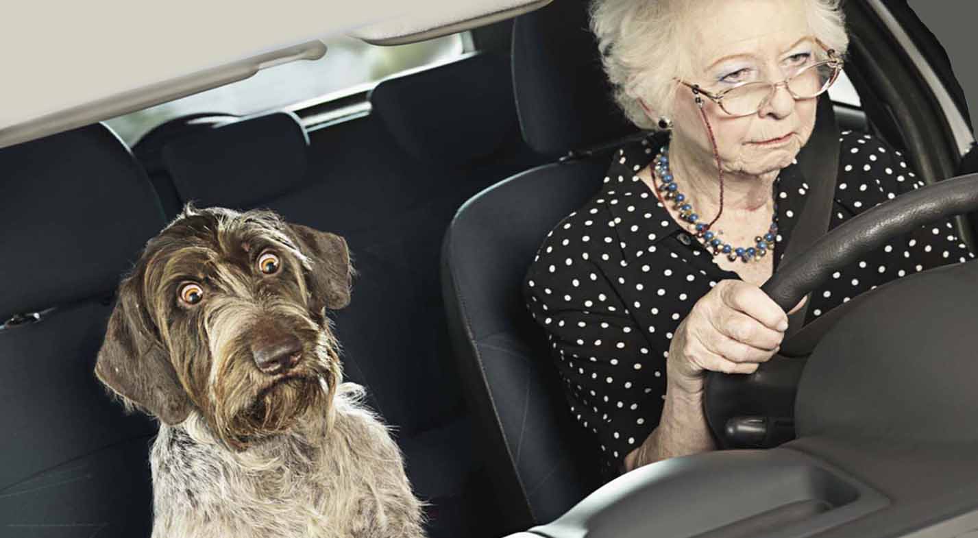 Женщина за рулем с собакой